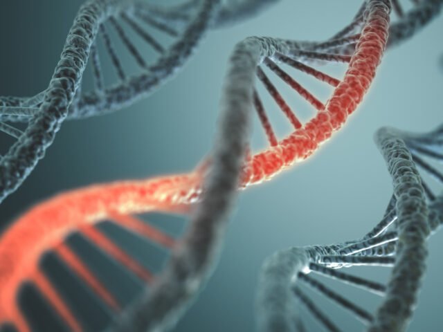 Can Sequence Detection Systems Identify Genetic Mutations?
