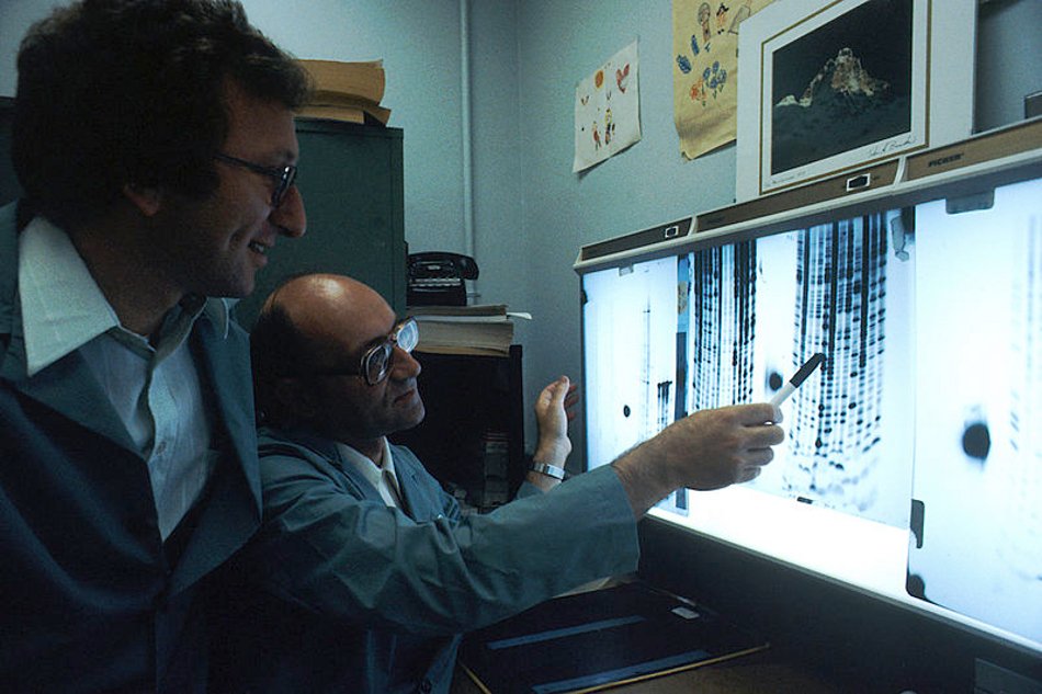 medical researchers reading a DNA sequence on a computer screen